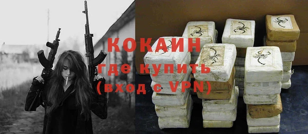 индика Покров