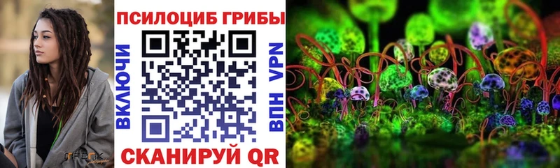 Галлюциногенные грибы Cubensis купить наркотики цена Гусь-Хрустальный
